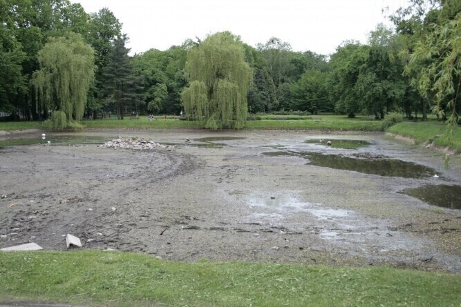 Odmulenie stawu w parku za 100 tys. zł
