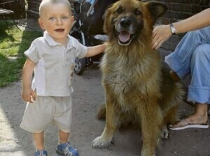 Żerują na Kacperku