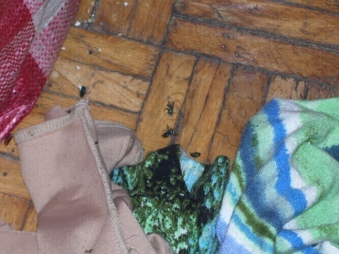 Problemy z uciążliwym lokatorem na Wysokiej