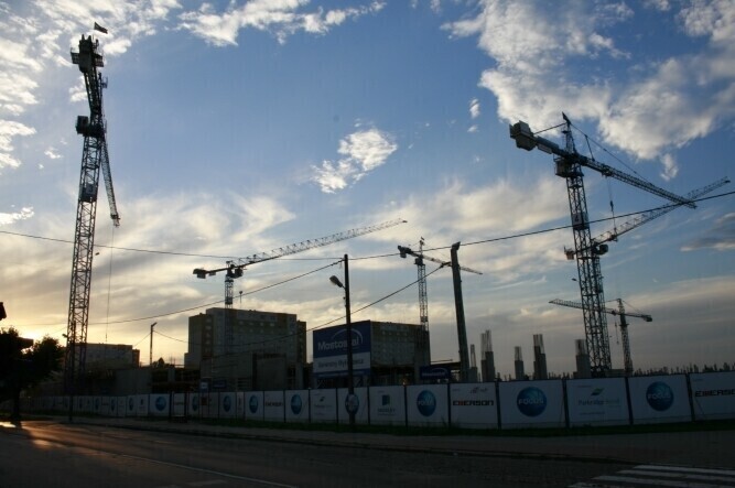 Pnie się w górę galeria