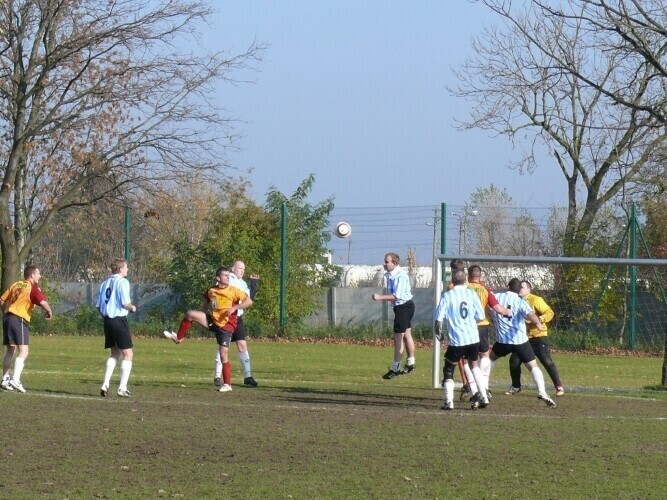 ALPN Mistrzowie wrócili na fotel lidera