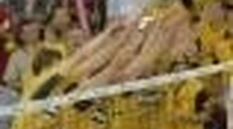 Finał PLS: PGE Skra Bełchatów Mistrzem Polski !