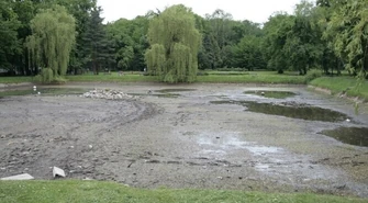 Odmulenie stawu w parku za 100 tys. zł