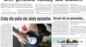 Czipy dla psów nie zdały egzaminu