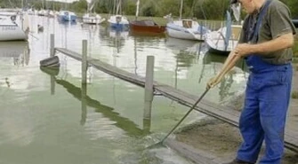 Zalew Sulejowski staje się cuchnącym bajorem