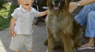 Żerują na Kacperku