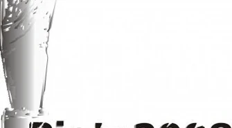 Piotr 2008: Ruszył Plebiscyt