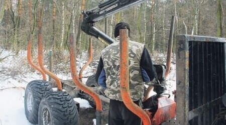 Lasy Państwowe czy prywatny folwark w Nadleśnictwie