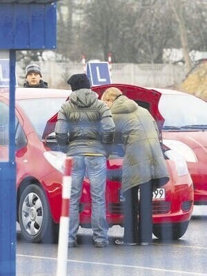 Piotrków Uwolnić miasto od elek