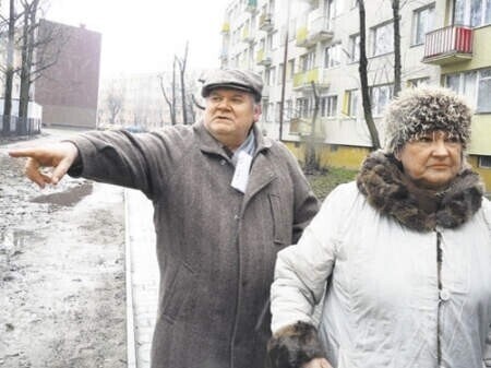 Piotrków Oskarżają o zniszczenie drzew