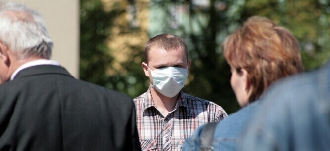 Czy przywiozą świńską grypę