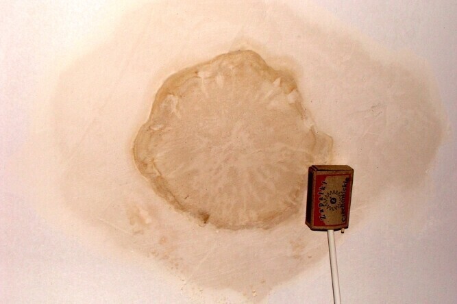 Modrzewskiego 36-36a jak Alternatywy 4