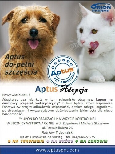 Nowa akcja Schroniska dla Bezdomnych Zwierząt