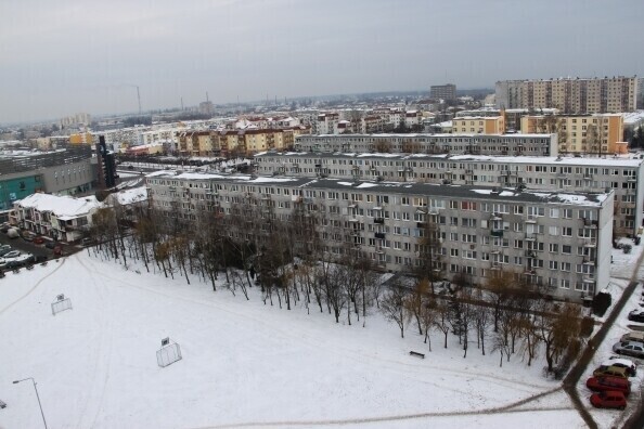 Sprawa lasku na przedświątecznej sesji