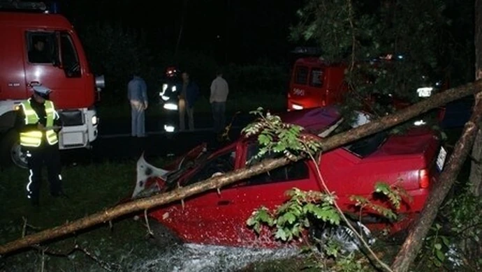pow. tomaszowski: Śmierć na drzewie