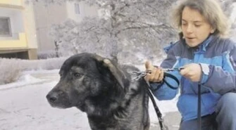 Psa wyprowadzi tylko dorosły 