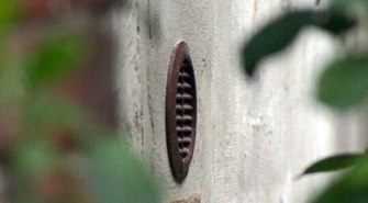 Piotrków: Nie ma już okienka...