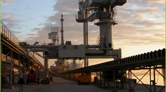 Co produkuje Pioma Industry?