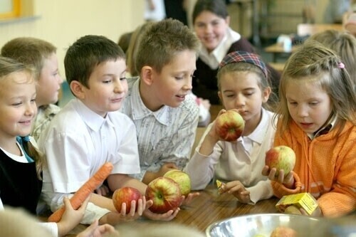 Czy nabiorą zdrowych nawyków