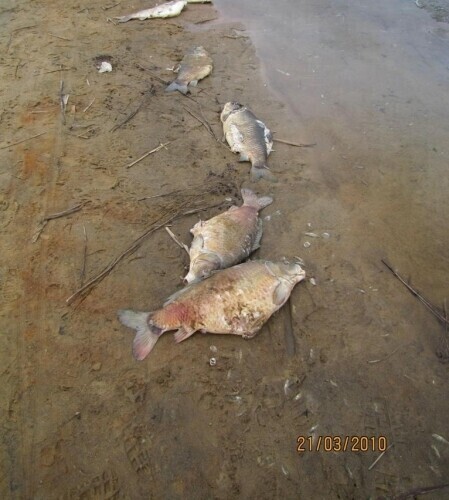 Uroki pierwszego dnia wiosny nad Słoneczkiem