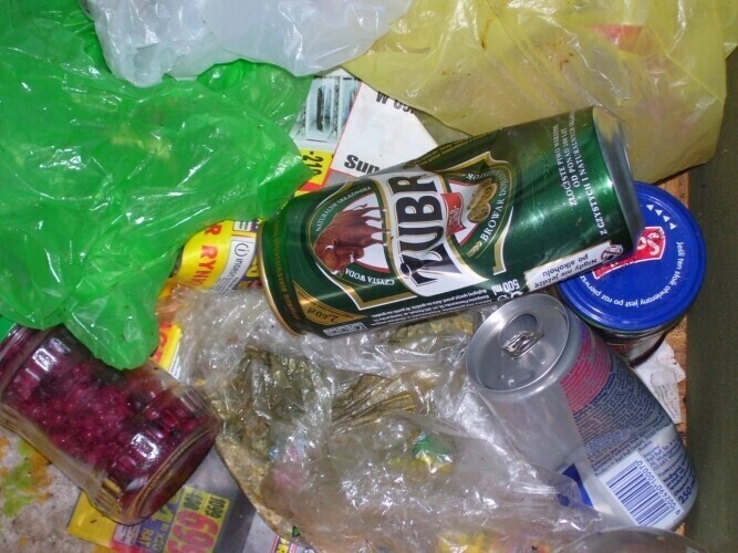 Więźniowie sprzątali nad Zalewem Sulejowskim