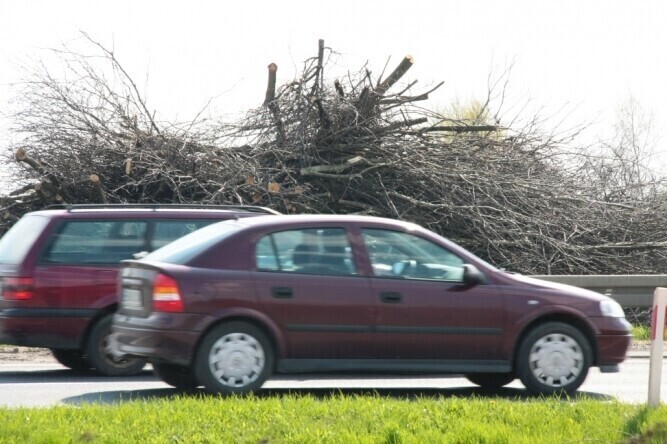 Sterty gałęzi przy drodze - czyja to robota