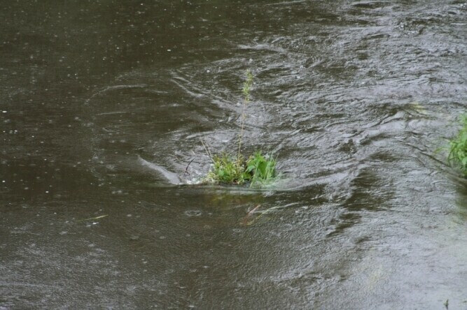 Sytuacja powodziowa w regionie piotrkowskim