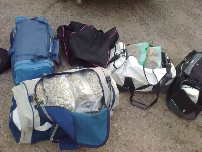 Piotrkowianin przemycał narkotyki z Holandii