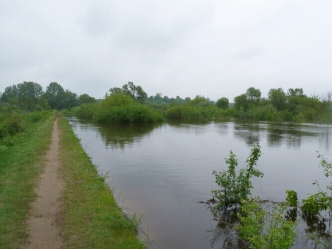 Sulejów Stan Pilicy zamiast opadać - podnosi się