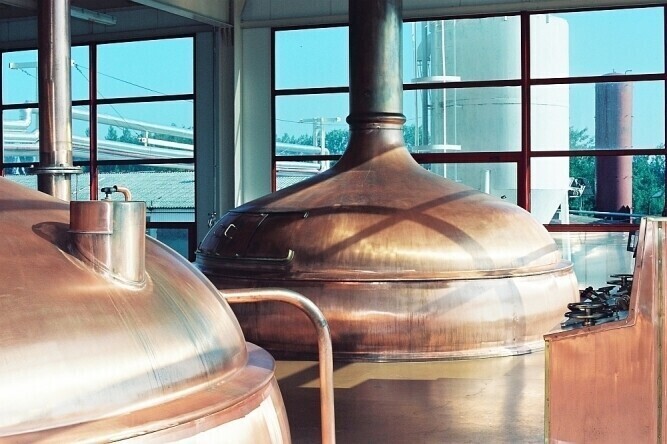 Piotrków Browar CORNELIUS z pasją warzy piwa