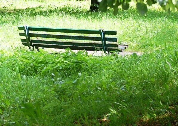 Tereny miejskie staramy się sukcesywnie kosić