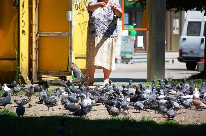 Zakaz dokarmiania uznany przez wojewodę