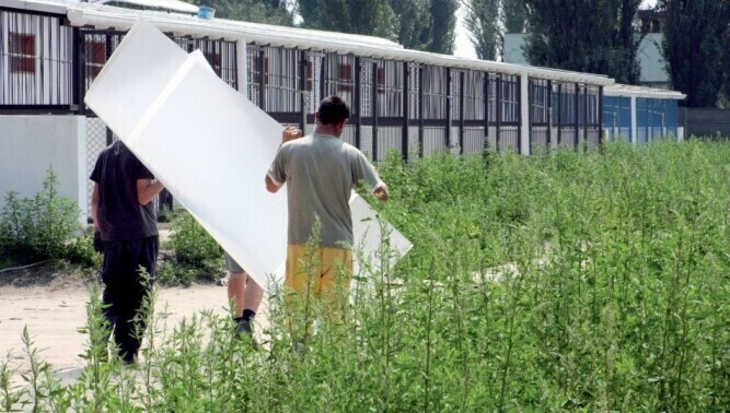 Piotrkowskie schronisko Przeprowadzka w sierpniu