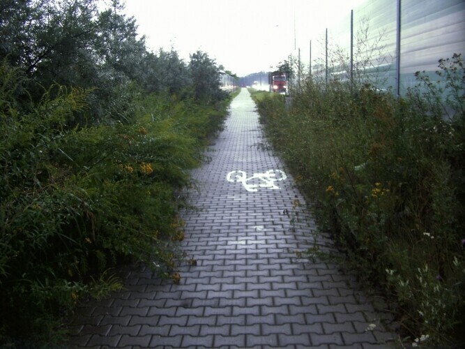 Zaniedbane piotrkowskie ścieżki rowerowe