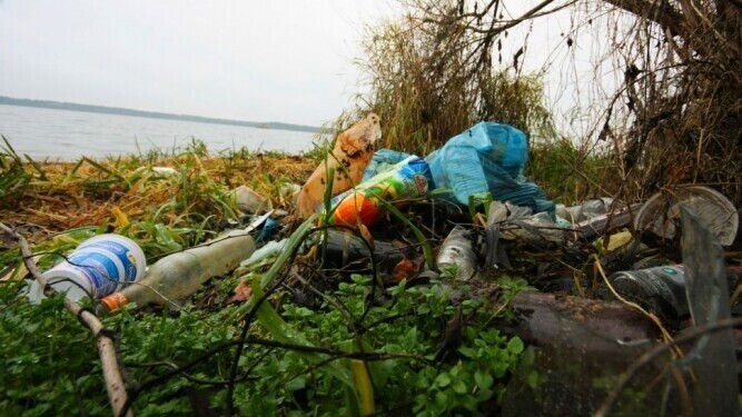 Region Śmieci na plażach Zalewu Sulejowskiego