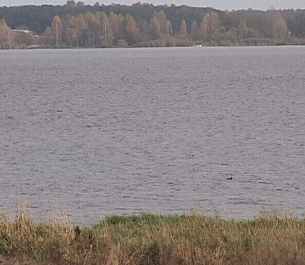 Gmina Czarnocin. Kolejne utonięcie