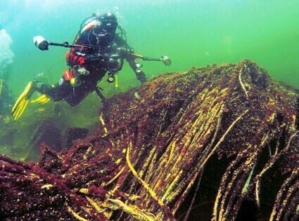 Schleswig Holstein w piotrkowskim Muzeum
