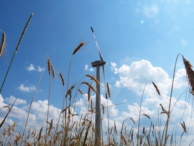 Region Chętnie sprzedam ziemię pod wiatrak