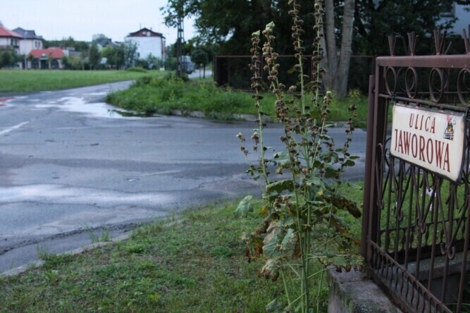 Piotrków Azbestowe rury nam nie grożą