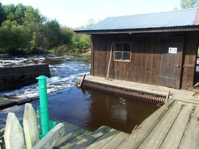 Dąbrowa nad Czarną zalane domy i elektrownia