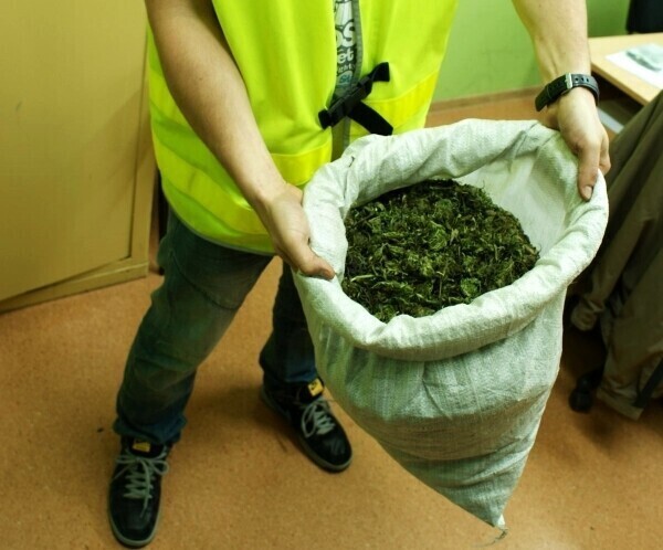 Dwa i pół kilograma marihuany trzymali na dachu