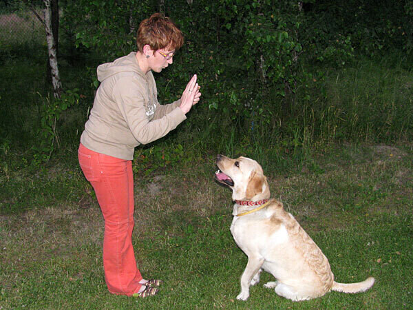 Spotkanie z łódzkimi zoopsycholożkami