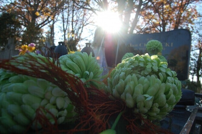 W tym roku wcześniej odwiedzaliśmy groby