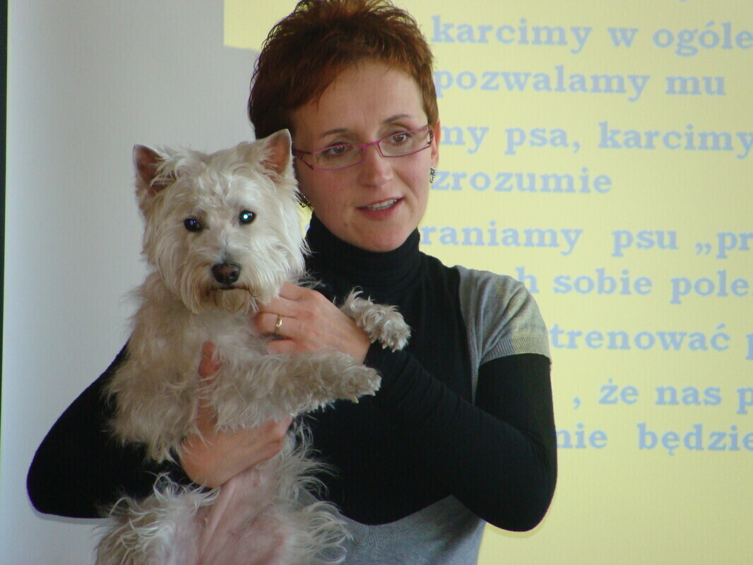 Jak prowadzić mediacje z psem