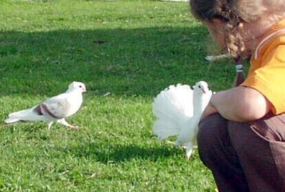 Basia jeszcze niespłacona