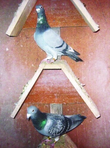 Najlepsze lotniki pojadą na wystawę