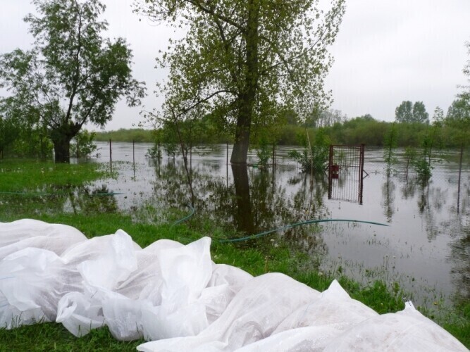 Sulejów Pilica zostanie pogłębiona i oczyszczona