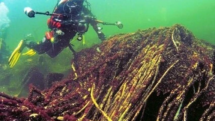 Schleswig – Holstein w piotrkowskim Muzeum