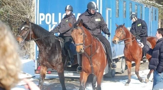 Tomaszów: Sprawdzian policyjnych koni
