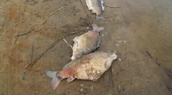 Uroki pierwszego dnia wiosny nad „Słoneczkiem”